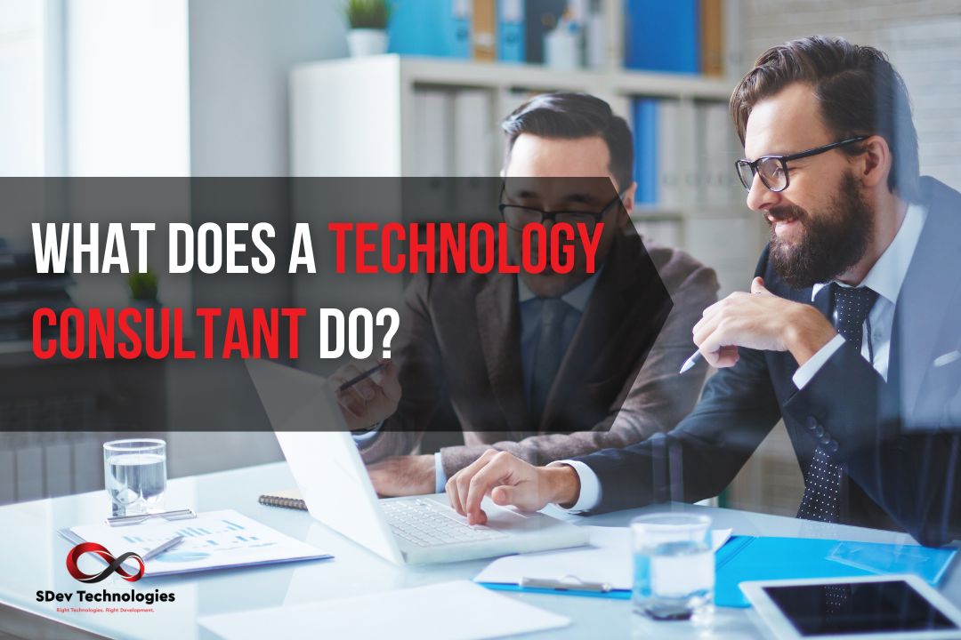 What does a Technology Consultant do?