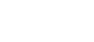 BNI LOGO WHITE
