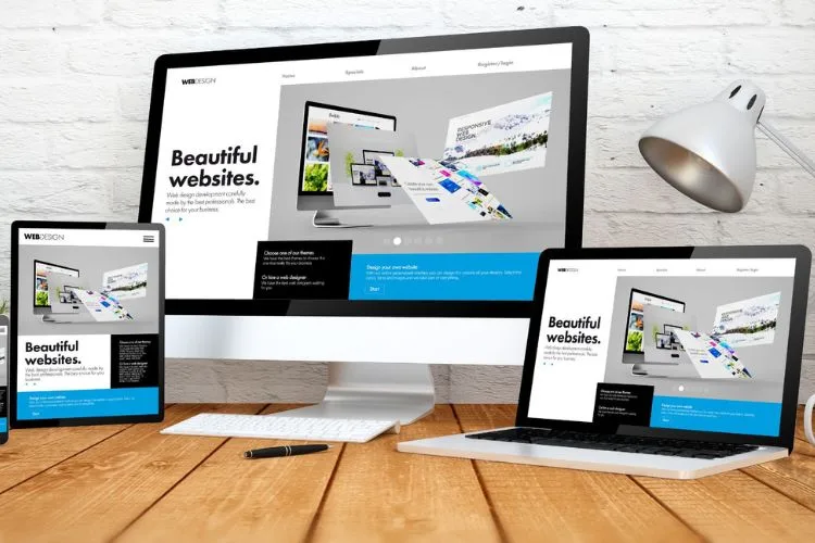 Website design and development